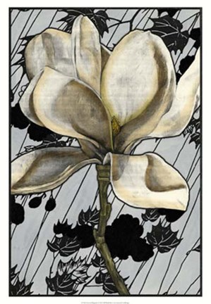 Framed Patterned Magnolia I Print