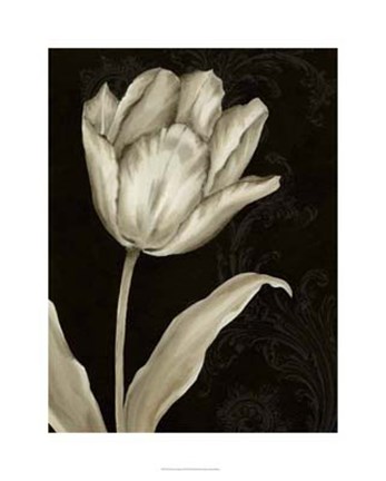 Framed Classical Tulip I Print