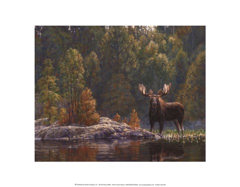 Framed North Country Moose Print