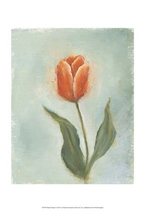 Framed Painted Tulips V Print