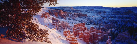 Framed Snow in Bryce Canyon National Park, Utah, USA Print