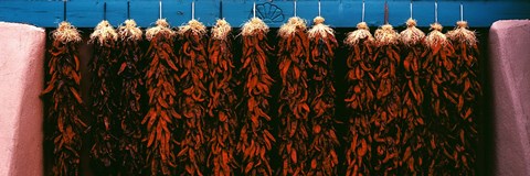 Framed Red peppers drying, New Mexico, USA Print