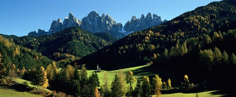 Framed Trees on a landscape, Dolomites, Funes Valley, Le Odle, Santa Maddalena, Tyrol, Italy Print