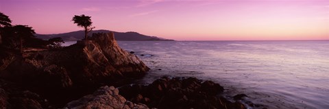 Framed Silhouette of a cypress tree at coast, The Lone Cypress, 17 mile Drive, Carmel, California, USA Print