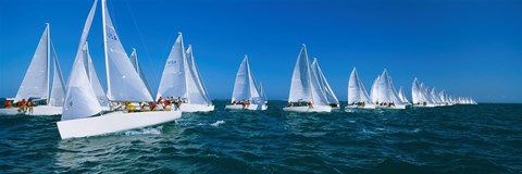 Framed Sailboats racing in the ocean, Key West, Florida Print