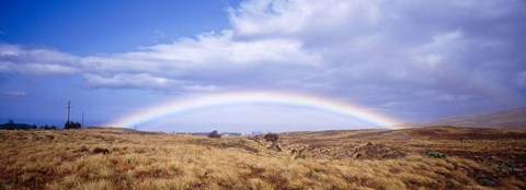 Framed Field, Rainbow, Hawaii, USA Print