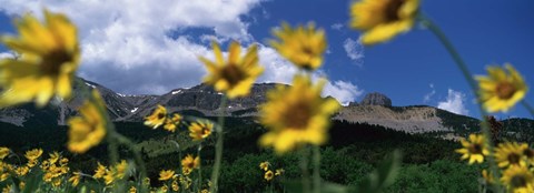 Framed Low Angle View Of Mountains, Montana, USA Print