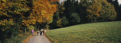 Framed Group of people walking on a walkway in a park, St. Peter, Black Forest, Baden-Wurttemberg, Germany Print