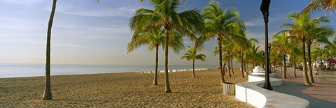 Framed Palm trees on the beach, Las Olas Boulevard, Fort Lauderdale, Florida, USA Print