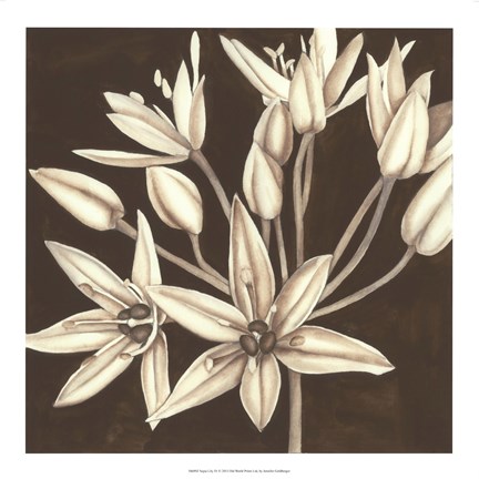 Framed Sepia Lily IV Print