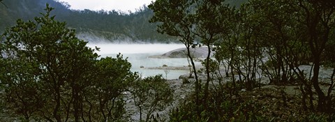 Framed Volcanic lake in a forest, Kawah Putih, West Java, Indonesia Print