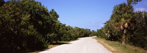 Framed Road passing through Ding Darling National Wildlife Refuge, Sanibel Island, Lee County, Florida, USA Print