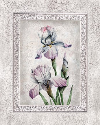 Framed Floral IV Print