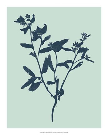 Indigo & Mint Botanical Study VII Artwork by Vision Studio at FramedArt.com