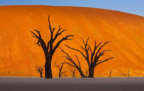 Framed Namib-Naukluft National Park, Namibia Print