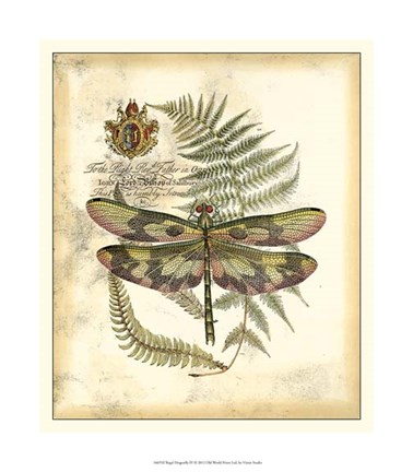 Framed Regal Dragonfly IV Print