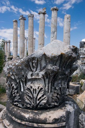 Framed Columns and Relief Sculpture, Aphrodisias, Turkey Print