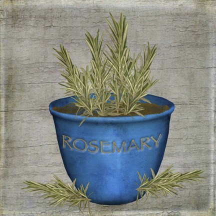 Framed Herb Rosemary Print