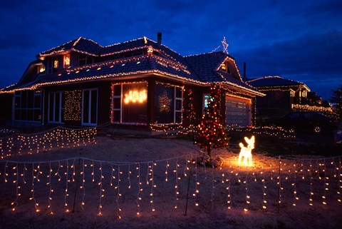 Framed Christmas Lights, Waldronville, Dunedin, New Zealand Print