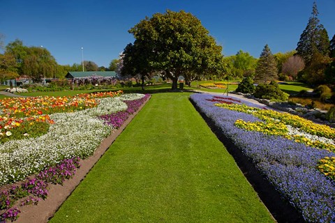 Framed Pollard Park, Blenheim, Marlborough, New Zealand Print