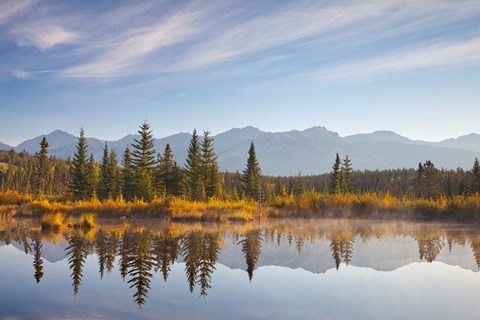 Framed Canada, Alberta, Jasper National Park Scenic of Cottonwood Slough Print