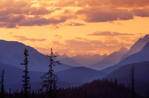 Framed Sunset in Banff National Park, Alberta, Canada Print