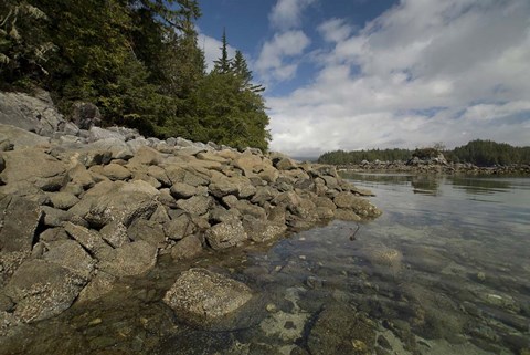 Framed Dicebox Island, Pacific Rim NP, British Columbia Print