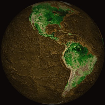 Framed Topographic Map of Earth Print