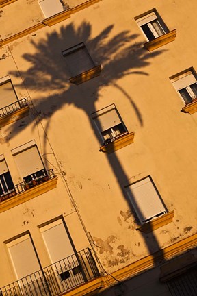 Framed Spain, Cadiz, Campo del Sur, Palm Shadow Print