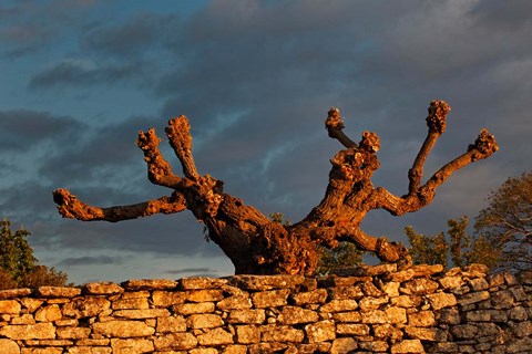 Framed Sunrise in Gordes, France Print