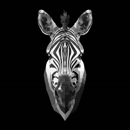 Framed Black Zebra Head Print