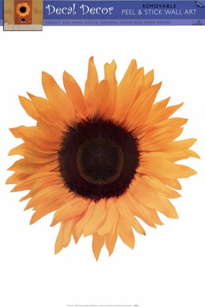 Framed Single Sunflower Print