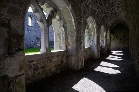 Framed Cloisters in Killmallock 12th Century Dominican Friary, Co Limerick, Ireland Print