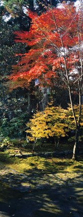 Framed Statue of Buddha in a garden, Anraku-Ji Temple, Kyoto Prefecture, Japan Print