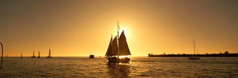 Framed Sailboat in Key West, Florida Print