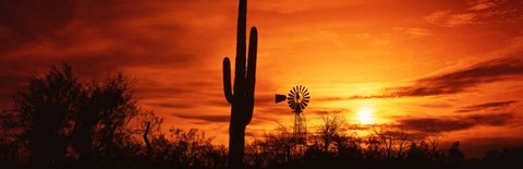 Framed Sonoran Desert Sunset, Arizona Print