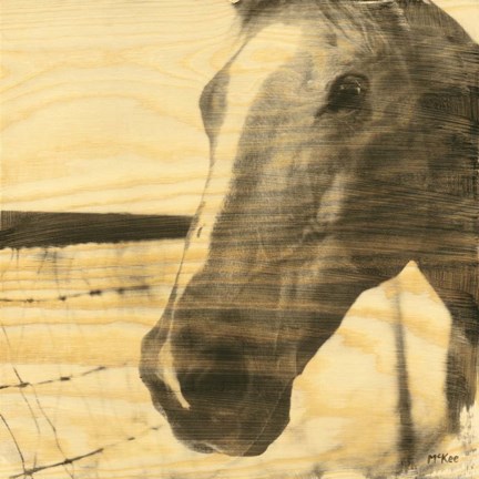 Framed Portrait of a Horse Print