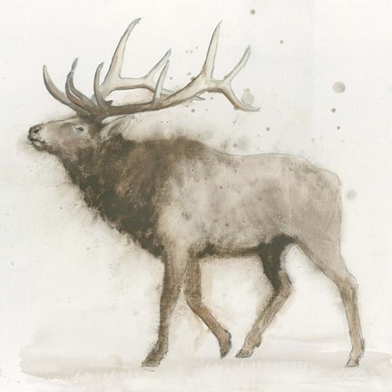 Framed Elk Print