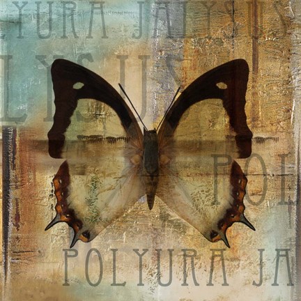 Framed Polyurabutterfly I Print