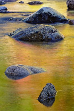 Framed Swift River, White Mountain Forest, New Hampshire Print