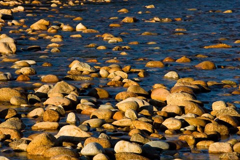 Framed Saco River, White Mountains, New Hampshire Print