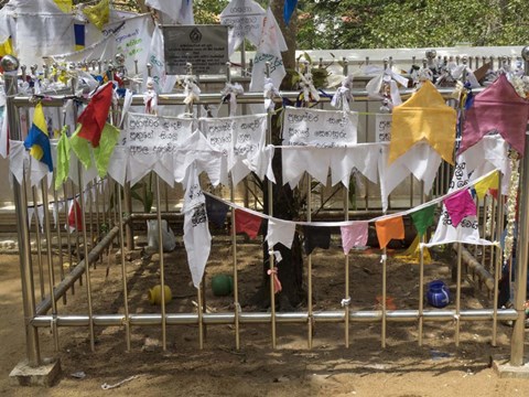 Framed Prayer flags at the Great Monastery, Anuradhapura, North Central Province, Sri Lanka Print