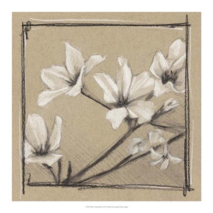 Framed White Floral Study I Print