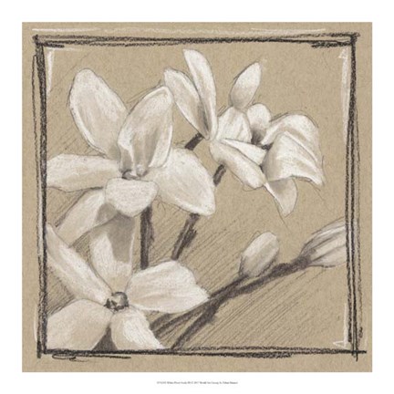 Framed White Floral Study III Print