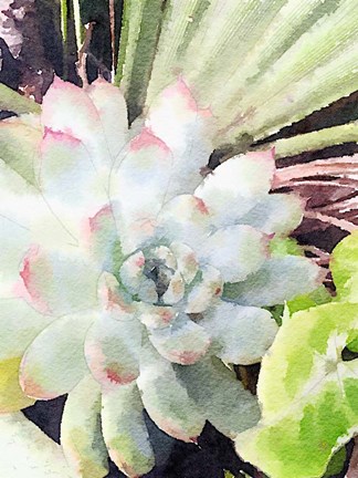 Framed Watercolor Green Succulent Print