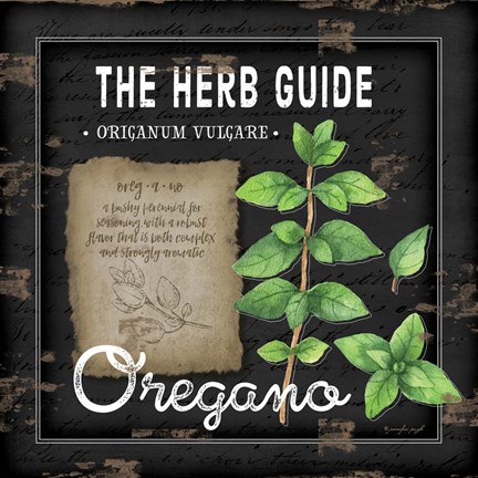 Framed Herb Guide Oregano Print