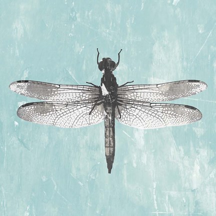 Framed Dragonfly III Print