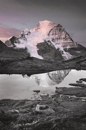 Framed Mount Robson BW with Color Print