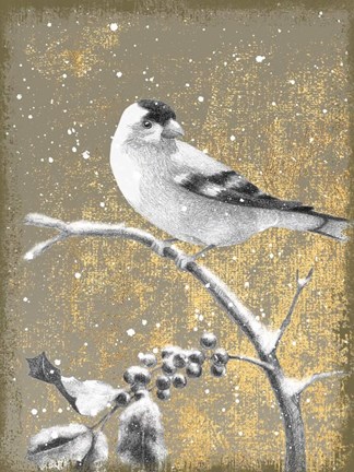 Framed Winter Birds Goldfinch Neutral Print