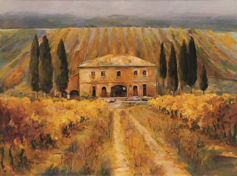 Framed Toscana Vigna Special Print